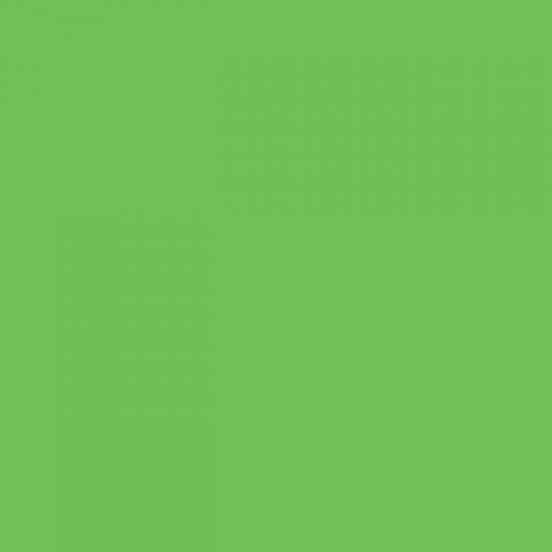 Green Apple Revolution Flex Sheet - Maison Klem